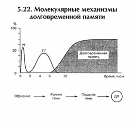 Обложка для материала материал по психофизиологии
