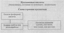 Материал к урокам  биологии