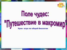 Обложка для материала Методическая игра по теме " Макромир" 9 класс
