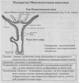 Материал к урокам  биологии