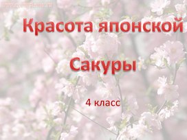 Презентация "Красота японской сакуры"