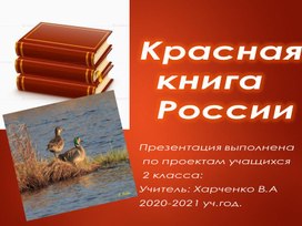 Проектная работа на тему " Красная книга России" 2 класс