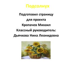 Подсолнух