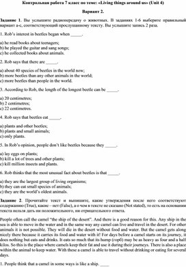 Обложка для материала Контрольная работа №4 для учащихся 7-ого класса к УМК "Rainbow English". 2 вариант.