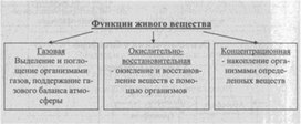 Материал к урокам  биологии