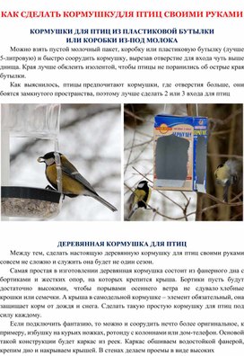 Обложка для материала Как сделать кормушку для птиц своими руками