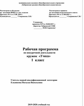 Рабочая программа по внеурочной деятельности. Кружок "Умка"