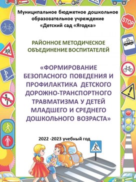 Организация работы в ДОУ по  профилактике детского дорожно-транспортного травматизма