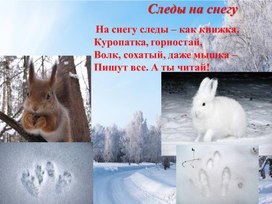 Обложка для материала Презентация "В зимнем лесу"