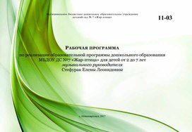 Обложка для материала Рабочая программа музыкального руководителя МБДОУ