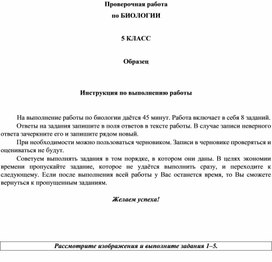 "ВПР - как итоговая проверочная работа"