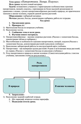 Конспект папоротники хвощи плауны