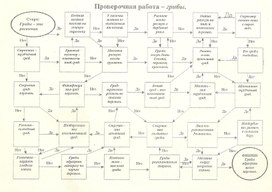 Домашнее задание для учащихся  по теме: "Грибы" 6 класс