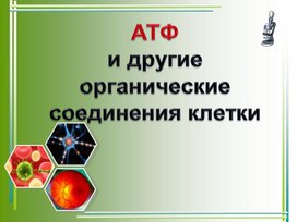 Презентация АТФ