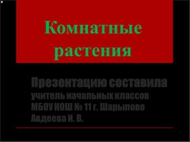 Разработка урока окружающего мира "Комнатные растения"