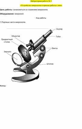 Лабораторная работа  «Устройство микроскопа и приемы работы с ним»