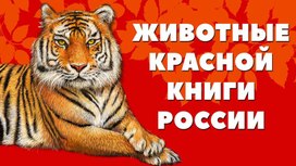 Животные красной книги России