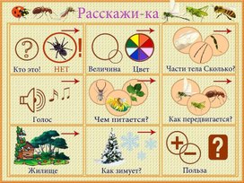 Обложка для материала расскажи-ка