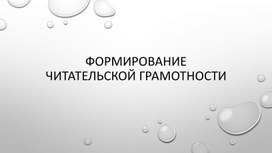 Формирование читательской грамотности