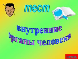 Презентация:"Тест по теме"Внутренние органы человека".