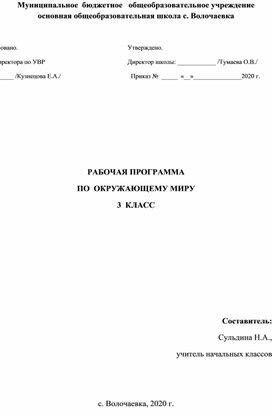 Рабочая программа по окружающему миру 3 класс