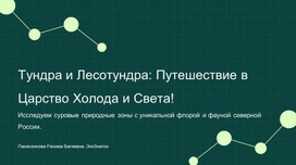Обложка для материала Тундра и лесотундра
