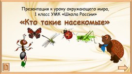 Обложка для материала Кто такие насекомые?