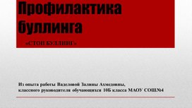 ПРОФИЛАКТИКА БУЛЛИНГА:«СТОП БУЛЛИНГ». Из опыта работы классного руководителя