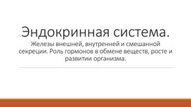 Обложка для материала Эндокринная система