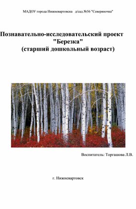 Познавательно-исследовательский проект  "Березка" (старший дошкольный возраст)