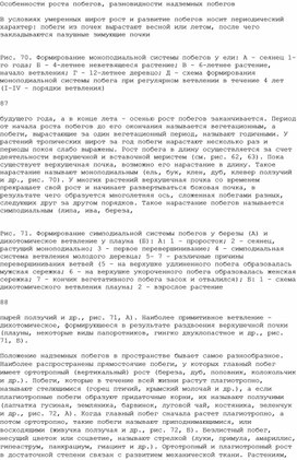 Обложка для материала Особенности роста побегов, разновидности надземных побегов