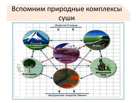 Обложка для материала "Географическая зональность"