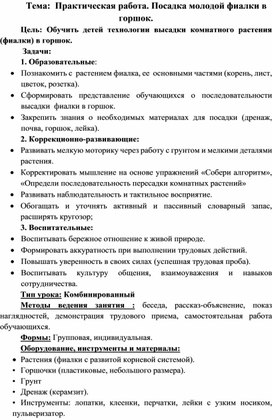 Обложка для материала Урок в 9 классе. Тема. Практическая работа. Пересадка молодой фиалки в горшок.