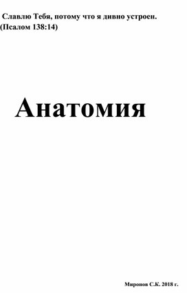 Анатомия для начинающих медиков и массажистов