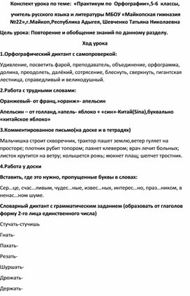 Конспект урока по теме "Практикум по орфографии " 5-6 классы