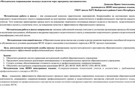 «Методическое сопровождение молодых педагогов через программу наставничества»