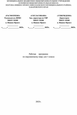Обложка для материала Рабочая     программа по окружающему миру для 1 класса
