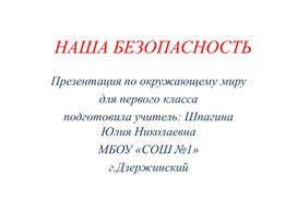 Презентация. Наша безопасность