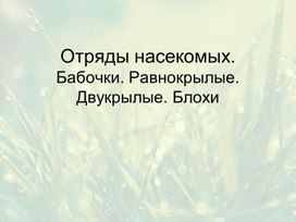 Отряды Насекомых: Чешуекрылые, Блохи, Двукрылые