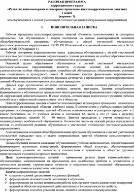 Обложка для материала Рабочая программа коррекционного курса "Развитие психомоторики и сенсорных процессов"