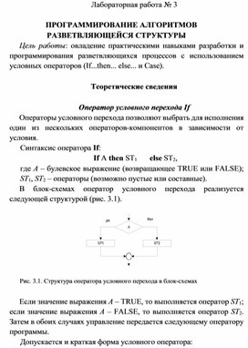 Обложка для материала Программирование алгоритмов разветвляющейся структуры