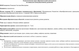 Обложка для материала Трудовая деятельность в подготовительной к школе группе "Посадка хвойных деревьев"