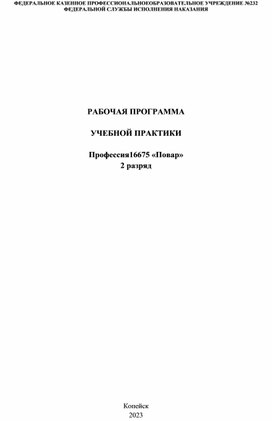 Рабочаяя программа учебной практики профессия "Повар 2 разряда"