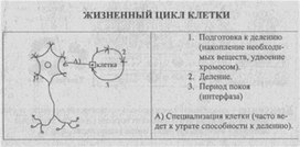 Материал к урокам  биологии