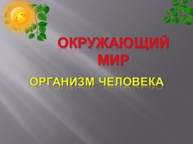 Презентация организм человека 3 класс