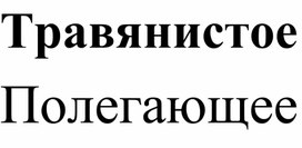 Словарная работа к уроку "Строение растения гороха. Особенности растения гороха" 5 класс.