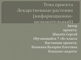 Презентация к защите проекта "Лекарственные растения"