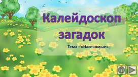 Калейдоскоп загадок. Тема: "Насекомые"