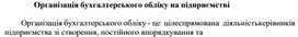 Обложка для материала Організація бухгалтерського обліку на підприємстві