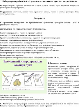 Лабораторная работа "Изучение чешуи кожицы лука под микроскопом"